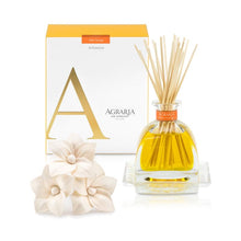 Load image into Gallery viewer, Golden Cassis Diffuser