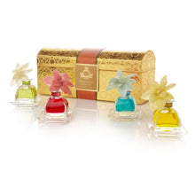 Load image into Gallery viewer, Santa Barbara Collection