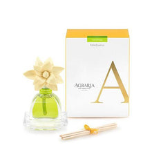 Load image into Gallery viewer, Best Lime Diffuser