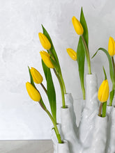 Load image into Gallery viewer, Coral Tulips Flower 
